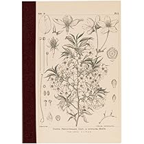 Amazon.co.jp: ほぼ日手帳 柴田ケイコ/ほぼ日の方眼ノート（A6）誰が来